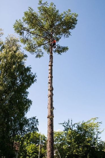puuapu_lahtinen-9-900x900-2